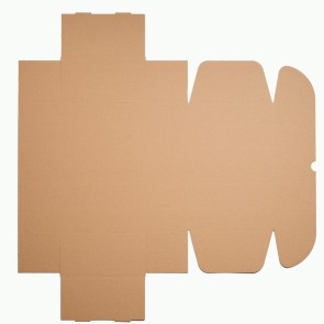 Boite carton type boite à oreilles - 300x200x100 mm