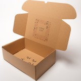 Boite carton type boite à oreilles - 300x200x100 mm